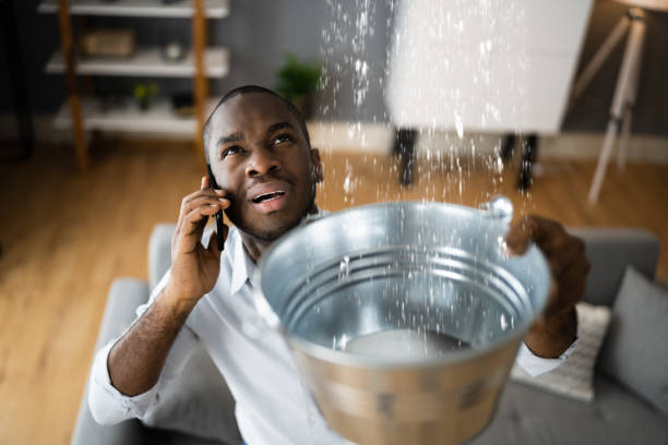Best Basement water damage restoration  in Sandy Valley, NV
