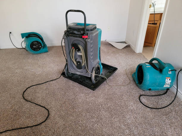 Best Basement water damage restoration  in Sandy Valley, NV