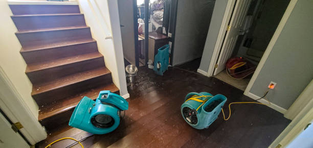 24/7 water damage repair in Sandy Valley, NV