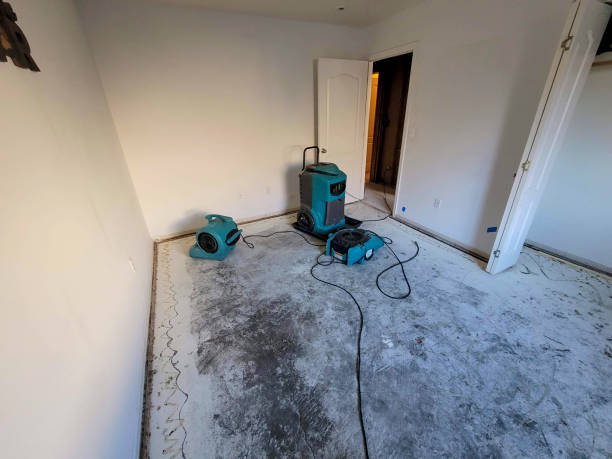 Best Mold removal after water damage  in Sandy Valley, NV