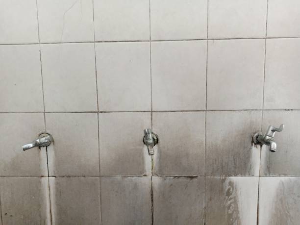 Best Ceiling water damage repair  in Sandy Valley, NV