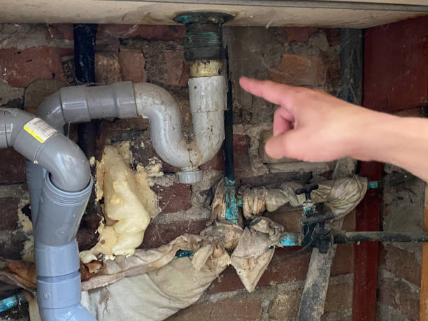 Best Carpet water damage restoration  in Sandy Valley, NV