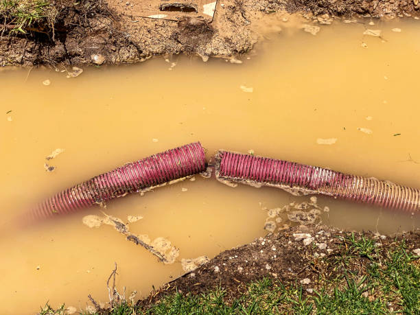 Best 24/7 water damage repair  in Sandy Valley, NV