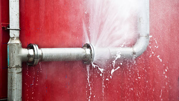 Best 24-hour water damage restoration  in Sandy Valley, NV